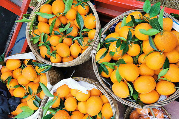 1577944920160577.jpg 修改照片2.jpg