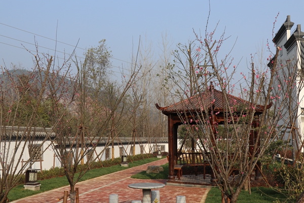 1580970027412895.jpg IMG_4965.JPG