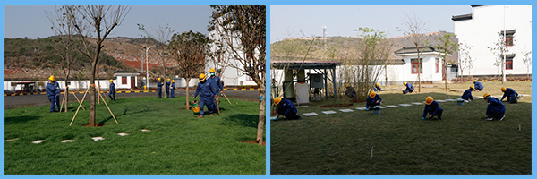 1584200699784917.jpg 5.jpg