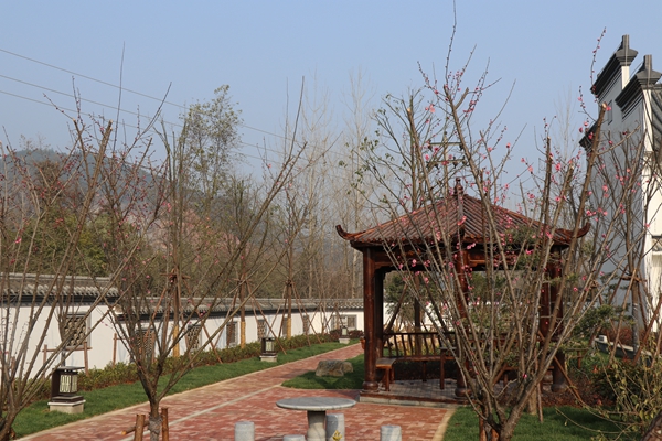 1585729945617181.jpg 海創(chuàng )春園.JPG