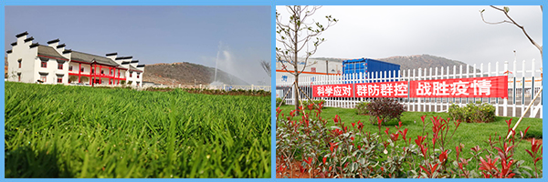 1585730553745280.jpg 1.jpg