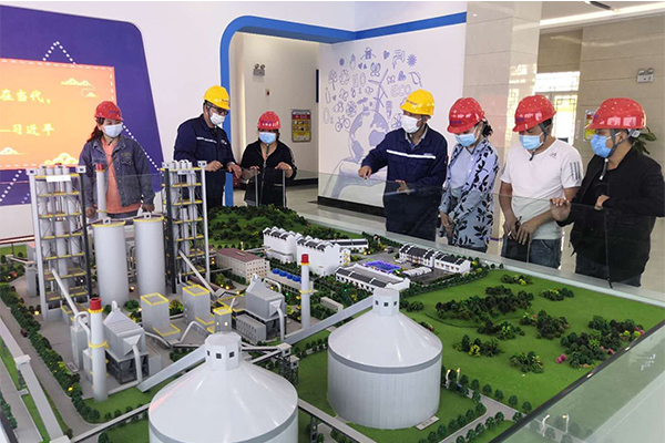 1588208076621227.jpg 2.jpg