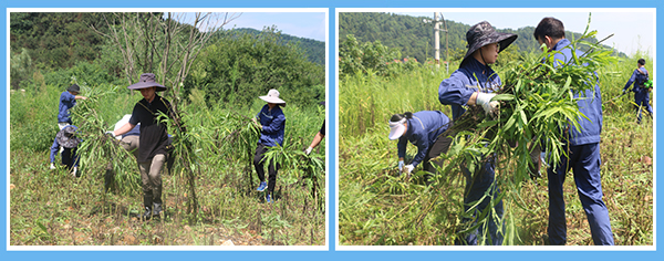 1597739935496319.jpg 3b72e2a5d2cb8a8f237b8fdd29ee413.jpg