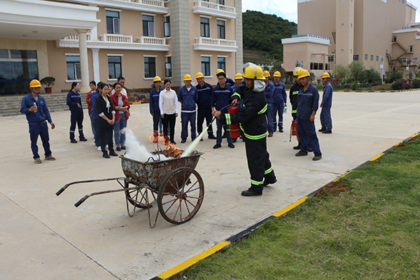 1601448243789153.jpg IMG_8306.JPG