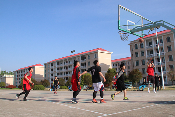 1602463810260080.jpg 籃球2.jpg