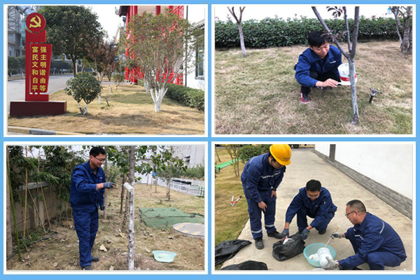 1605489961321537.jpg 四拼圖.jpg