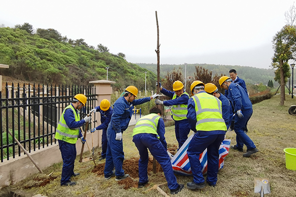 1617171174768471.jpg 植樹(shù)1.jpg