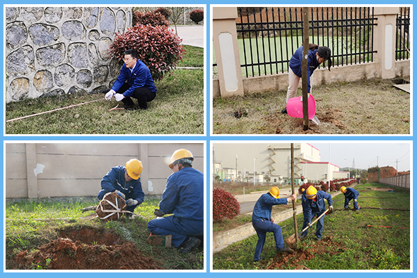 1617171180377796.jpg 植樹(shù)2.jpg