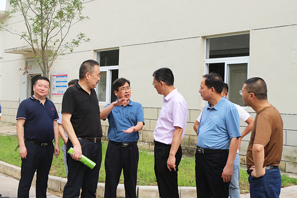 1625705296608675.jpg 2.jpg