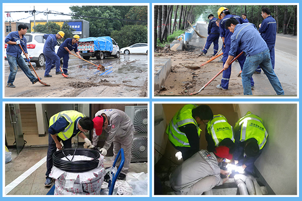 1627352691172461.jpg 2.jpg