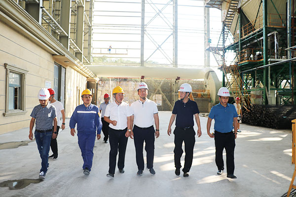 1633663042530559.jpg 1.jpg