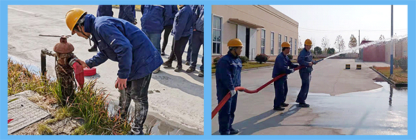 1638343113241224.png 圖片2.png