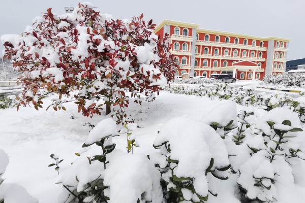 1644201721715066.jpg 1.jpg