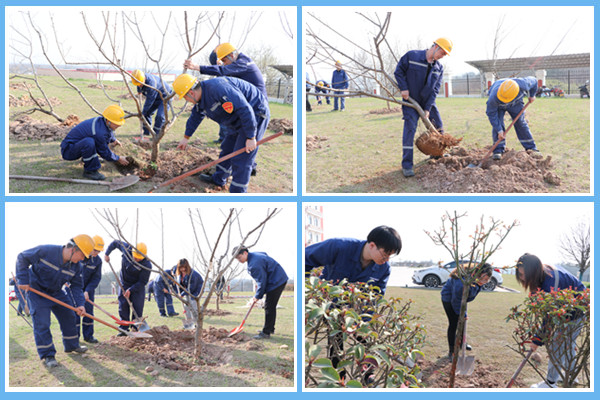 1647344839348413.jpg 四合一_副本.jpg