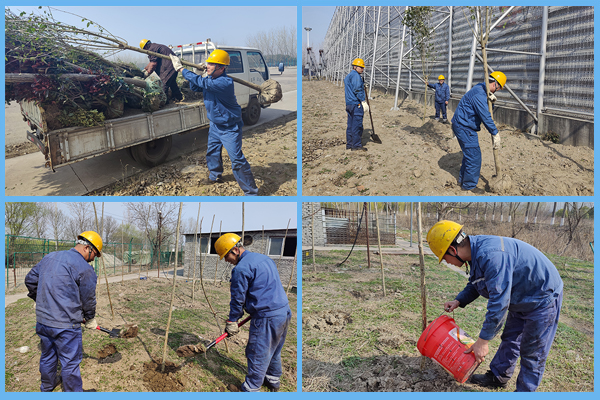 1647345266520301.jpg 植樹(shù)四合一.jpg