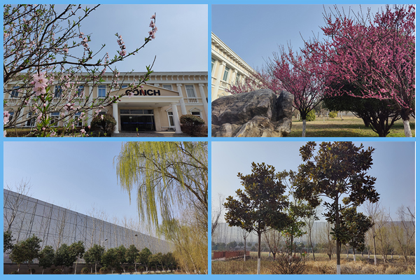 1647345270639396.jpg 景色四合一.jpg