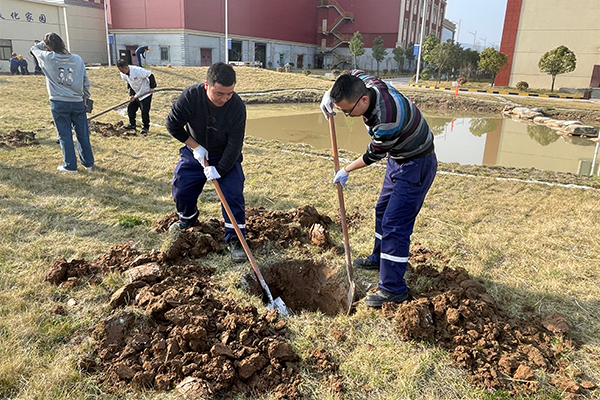 1647345350635946.png 2.png