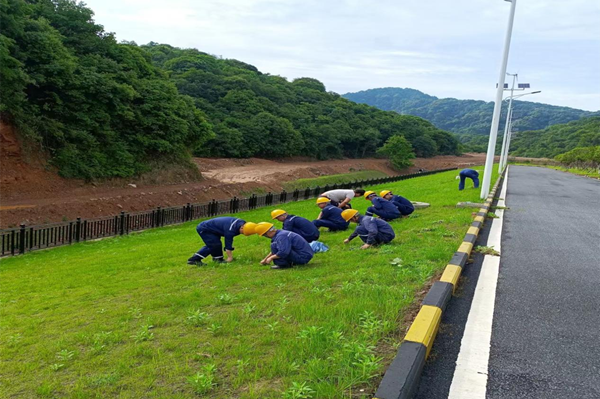 1654049893448277.png 德興2.png