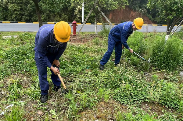 1654049903292636.png 德興3.png