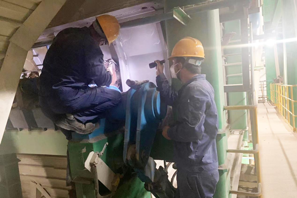 1656747176480627.png 莎車(chē)2.png