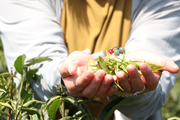 1682646345775898.png 圖片5.png